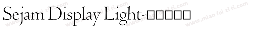 Sejam Display Light字体转换